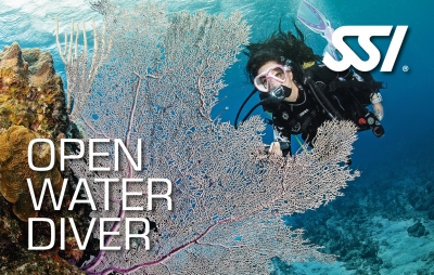 курси дайвінгу для початківців SSI OWD