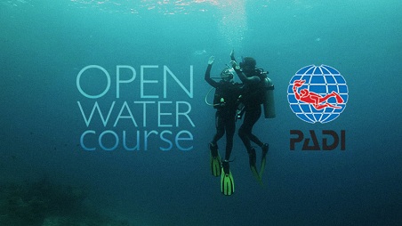 дайвінг для початківців, львів, padi